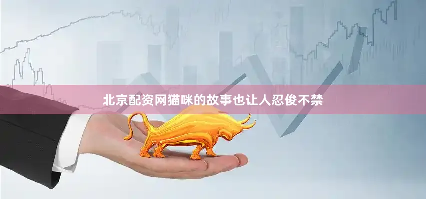 北京配资网猫咪的故事也让人忍俊不禁