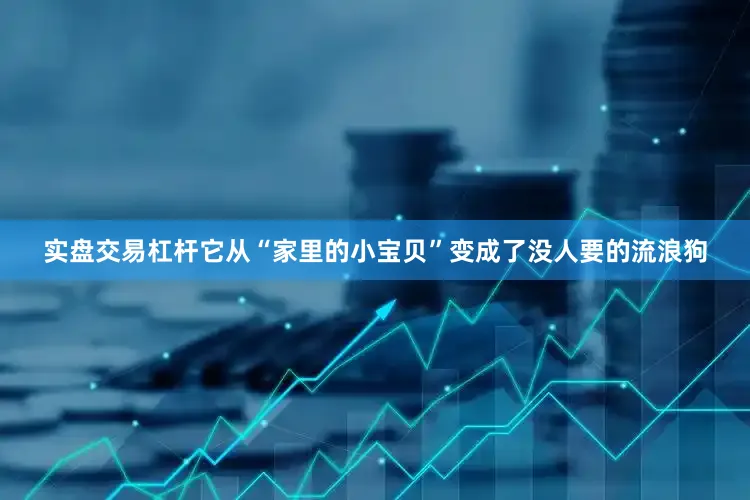 实盘交易杠杆它从“家里的小宝贝”变成了没人要的流浪狗