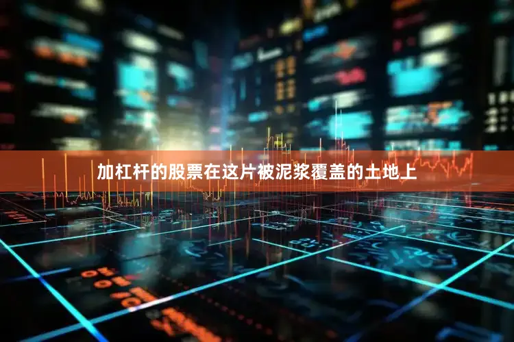 加杠杆的股票在这片被泥浆覆盖的土地上