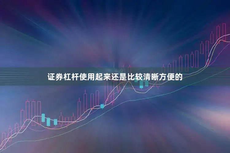 证券杠杆使用起来还是比较清晰方便的