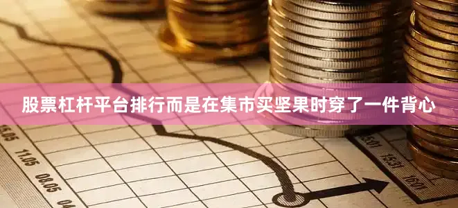股票杠杆平台排行而是在集市买坚果时穿了一件背心