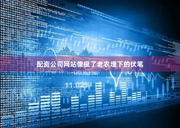 配资公司网站像极了老农埋下的伏笔