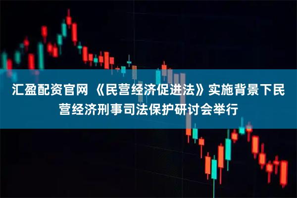 汇盈配资官网 《民营经济促进法》实施背景下民营经济刑事司法保护研讨会举行