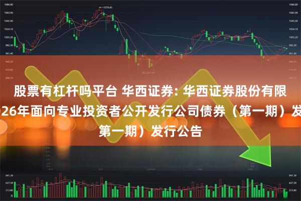 股票有杠杆吗平台 华西证券: 华西证券股份有限公司2026年面向专业投资者公开发行公司债券（第一期）发行公告